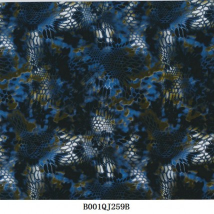 B001QJ259B