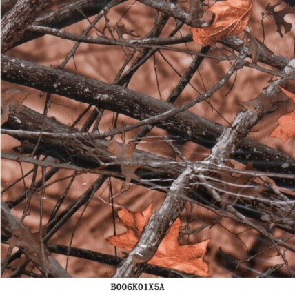B006K01X5A