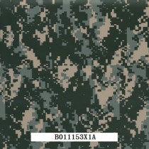 B011153X1A