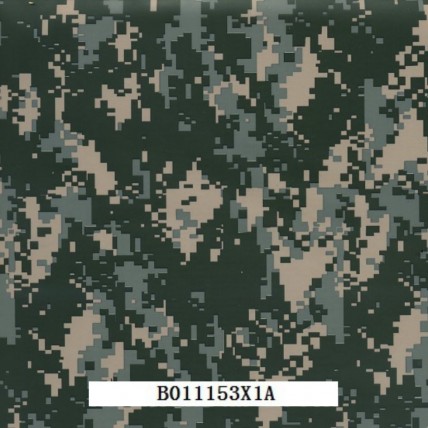 B011153X1A