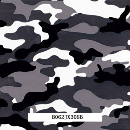 B062JX308B
