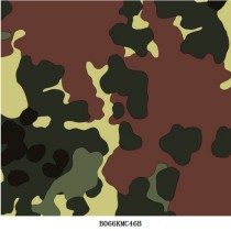 B066KMC46B