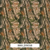 B081JU925B