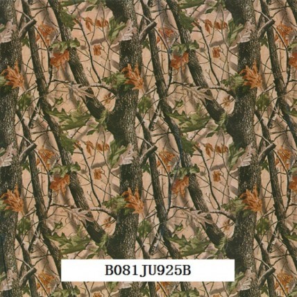 B081JU925B