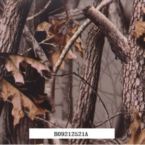 B09212521A