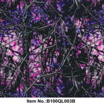 B100QL003B