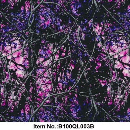 B100QL003B