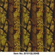 B101QL004B