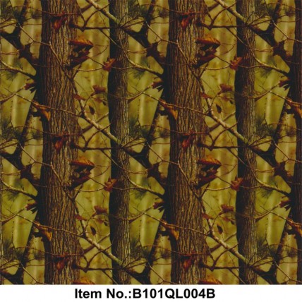 B101QL004B
