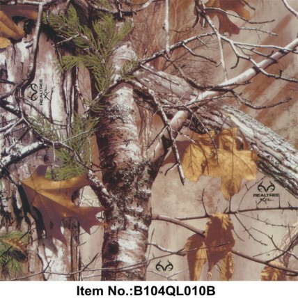 B104QL010B
