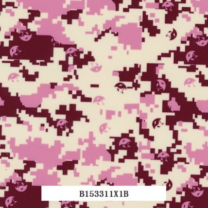 B153311X1B