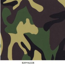 B20YYA222B