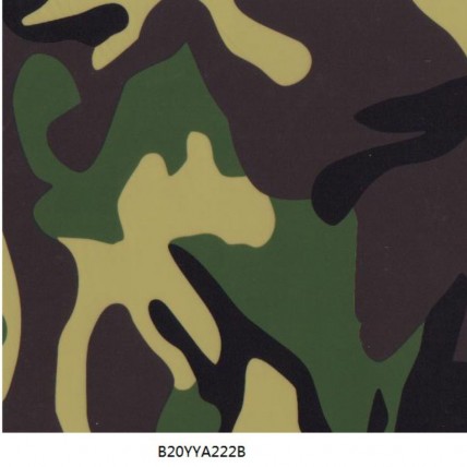 B20YYA222B