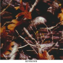 B27YYA797B