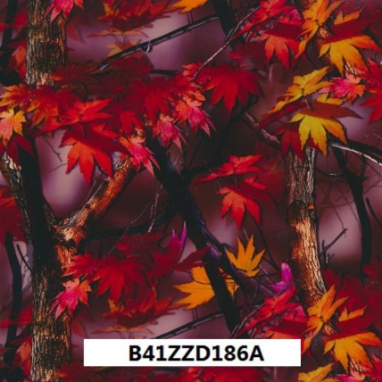 B41ZZD186A