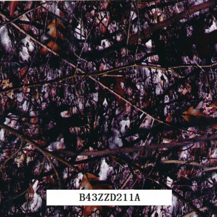 B43ZZD211A