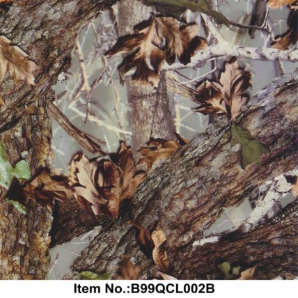 B99QCL002B