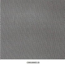 C005008X1B