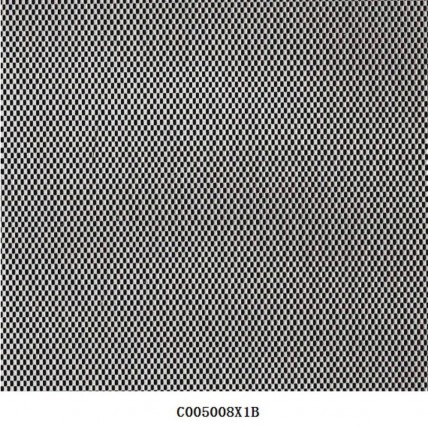 C005008X1B