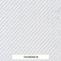 C010038X1B