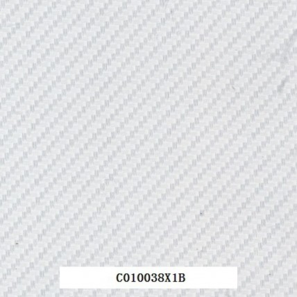C010038X1B