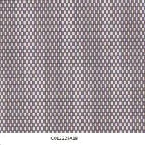 C012225X1B