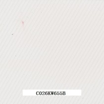 C026KW655B