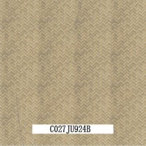 C027JU924B