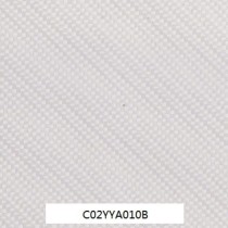 C02YYA010B