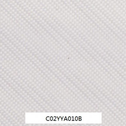C02YYA010B