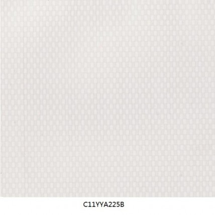 C11YYA225B