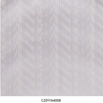 C20YYA400B