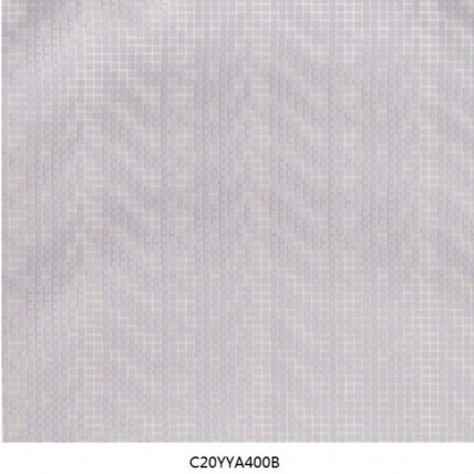 C20YYA400B