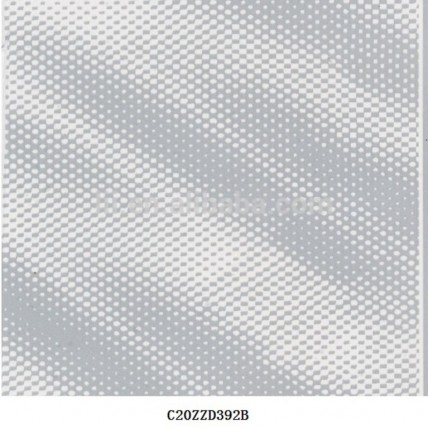 C20ZZD392B