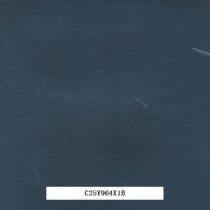 C25Y964X1B