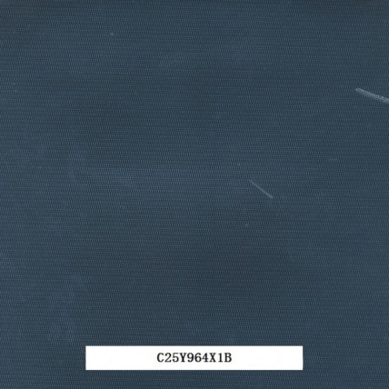 C25Y964X1B