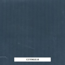 C27Y965X1B