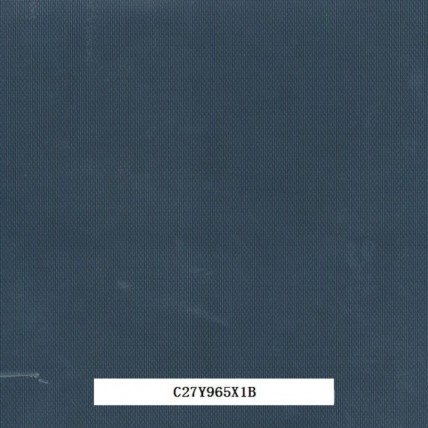 C27Y965X1B
