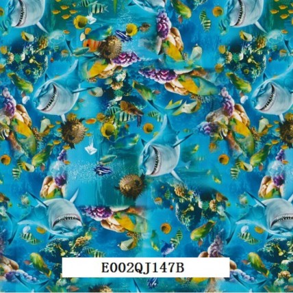 E002QJ147B