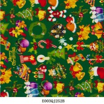 E003QJ252B