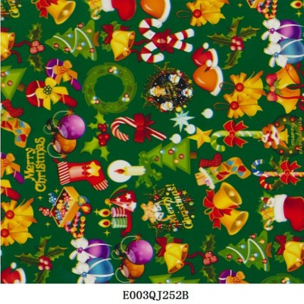 E003QJ252B