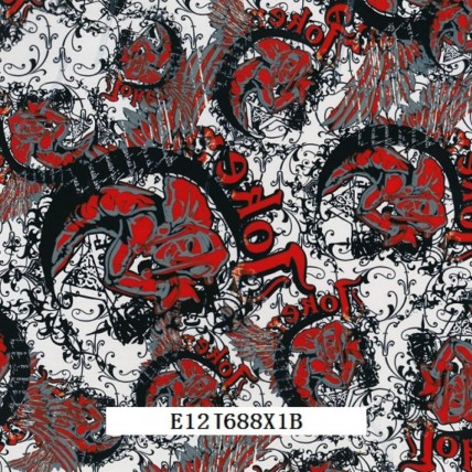 E12J688X1B