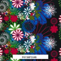 F073HP259B