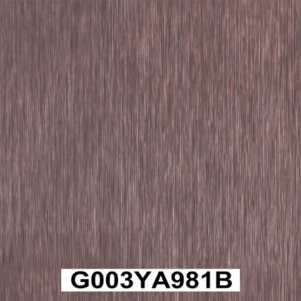 G003YA981B