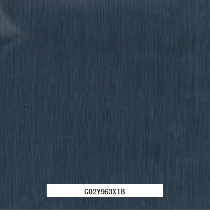 G02Y963X1B