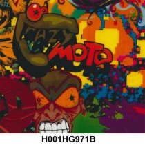H001HG971B
