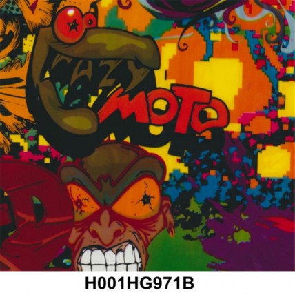 H001HG971B