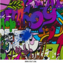 H001YA719A