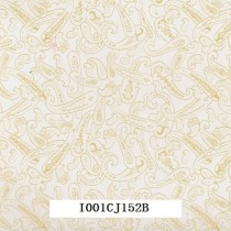 I001CJ152B
