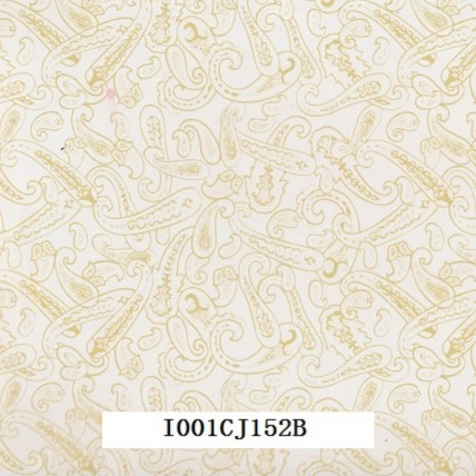 I001CJ152B